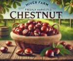Fresh, Raw, Premium Quality Ohio Chestnuts | Tender, Easy to Peel, Aromatic, and Delicious Chestnuts | Perfect for Roasting, Snacking, and Cooking | Non-GMO, All-Natural, Nutrient-Rich Ohio Chestnuts | Ships in October & November