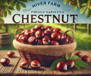 Fresh, Raw, Premium Quality Ohio Chestnuts | Tender, Easy to Peel, Aromatic, and Delicious Chestnuts | Perfect for Roasting, Snacking, and Cooking | Non-GMO, All-Natural, Nutrient-Rich Ohio Chestnuts | Ships in October & November